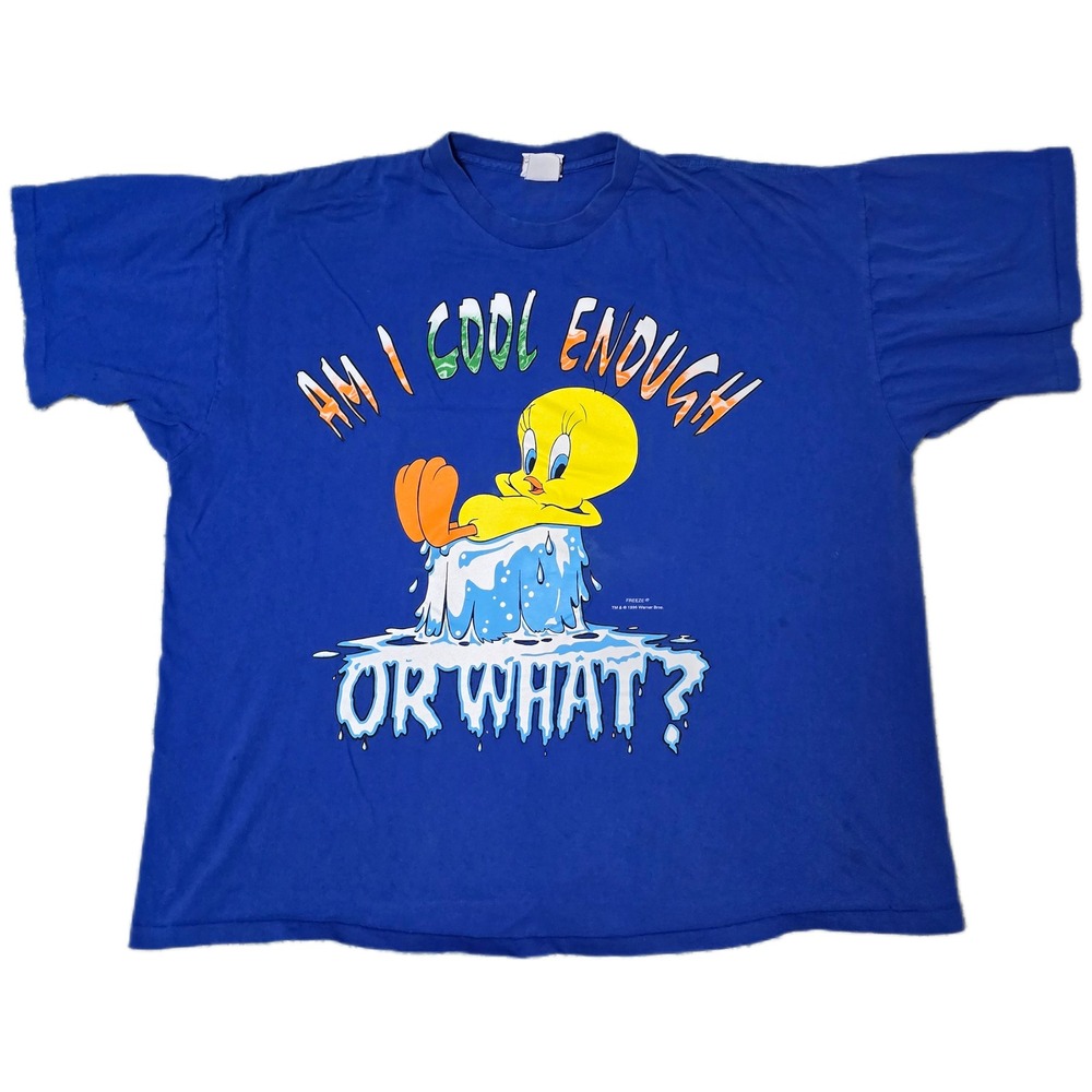 Vintage 90s Looney Tunes Tweety Bird Am I Cool Enough T Shirt Cartoon Blue (D)